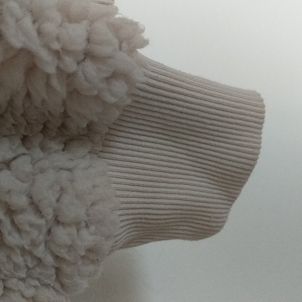 AMERICAN EAGLE Fuzzy Teddy Sherpa Hoodie - Picture 7 of 9